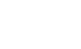 magneti-marelli