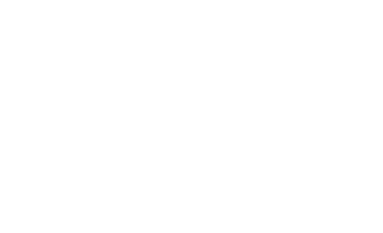 fsi